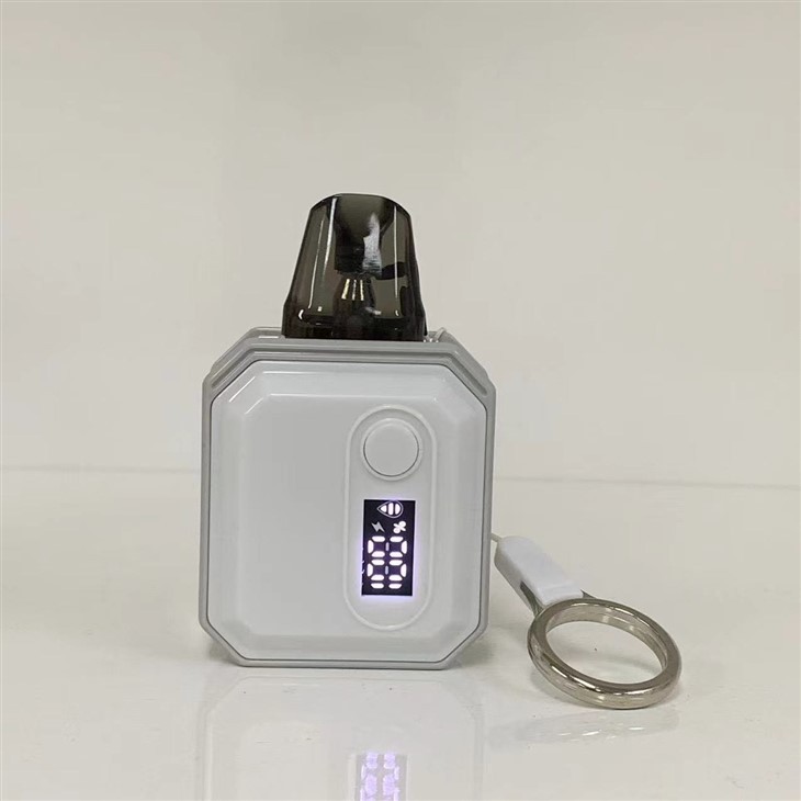 600 Puffs Vape Pod With 10 Flavors Wholesale Price