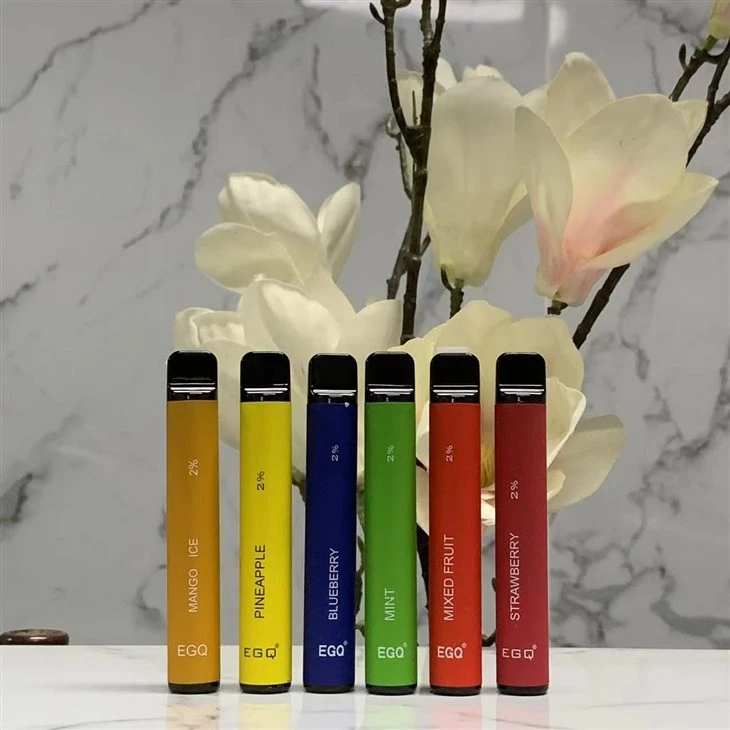 Electronic Cigarette Vape With 600 Puffs